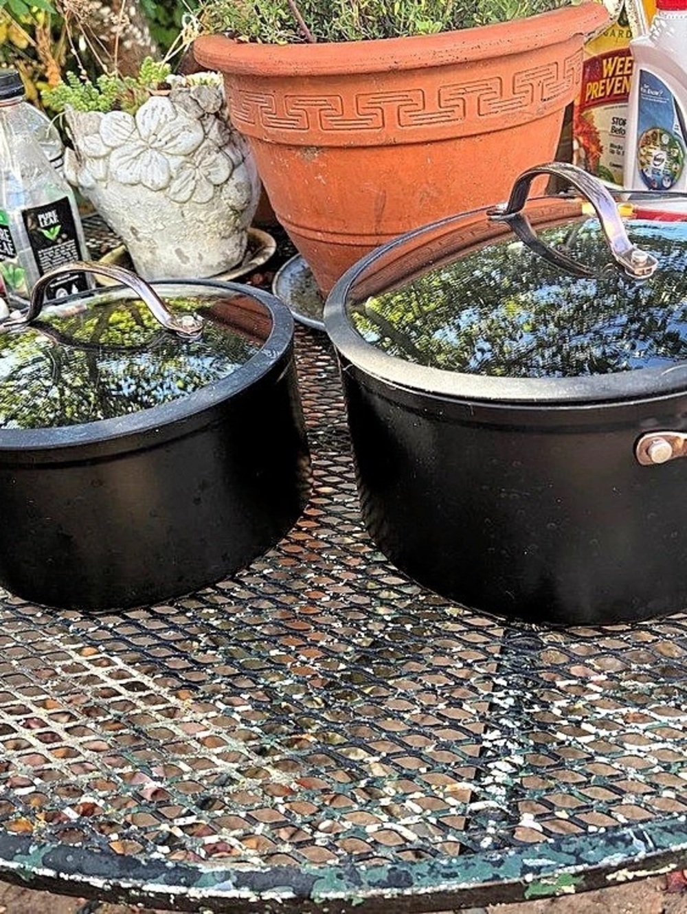 Thyme & Table Black Cookware Set with Glass Lids